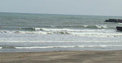 110219taito1.jpg